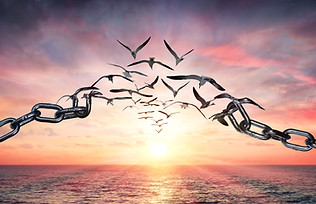 chains turning into birds, freedom, resilience.jpg