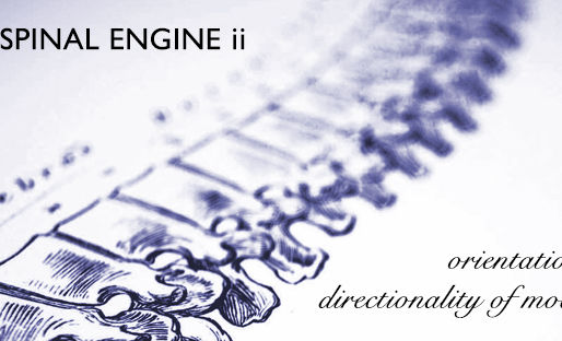 The Spinal Engine ii: Orientation and Directionality of Movement