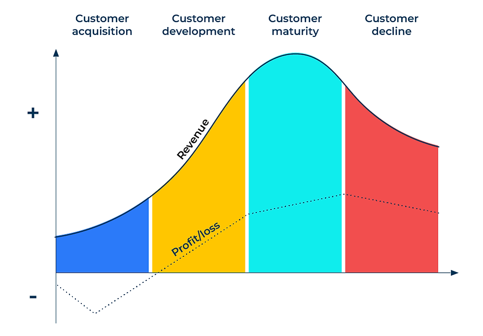 Customer lifetime value model showing revenue and profit and loss