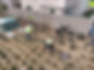 DJI_20250130112037_0045_D_edited_edited.jpg