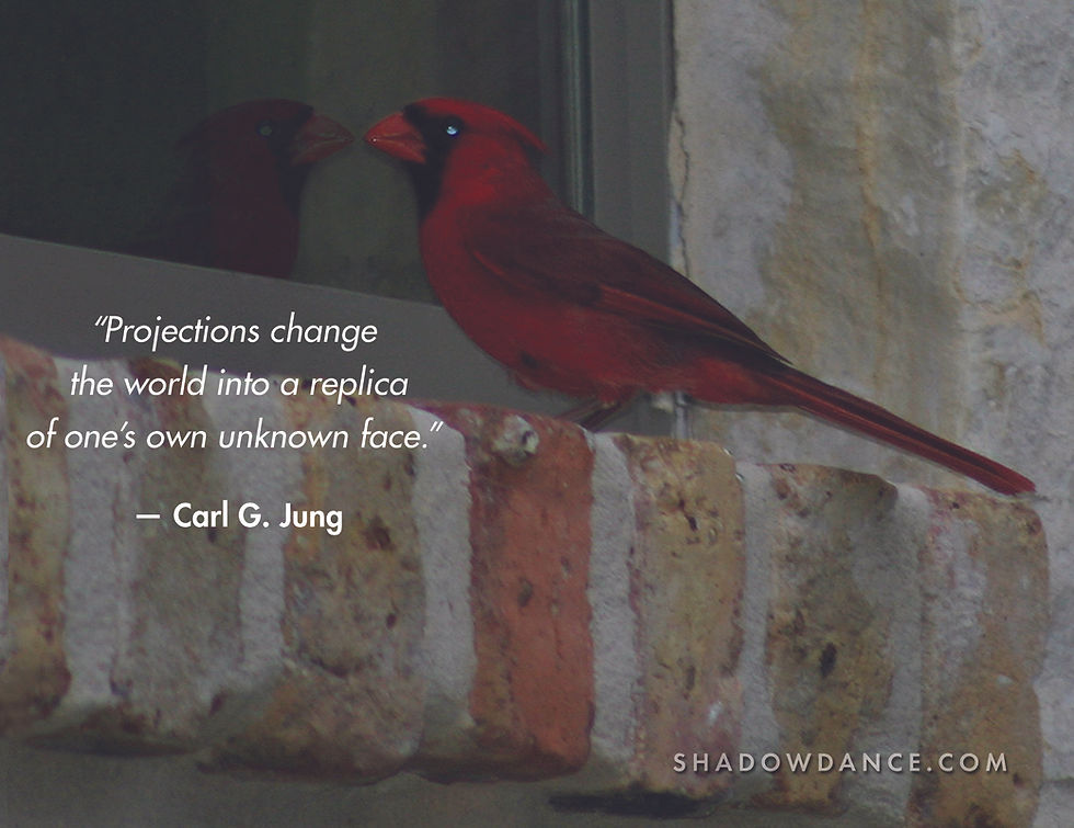 The Red Cardinal, the Mirror, and the Moment I Remembered Love
