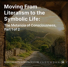 Moving from Literalism Substack Post