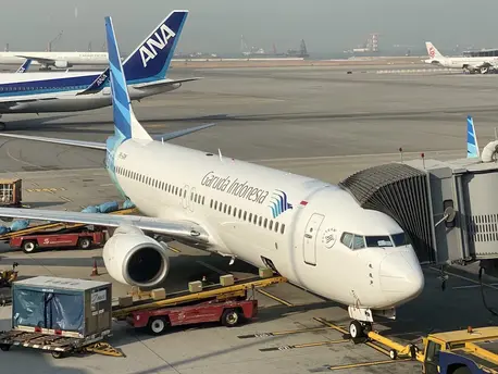 Garuda Indonesia Airplane