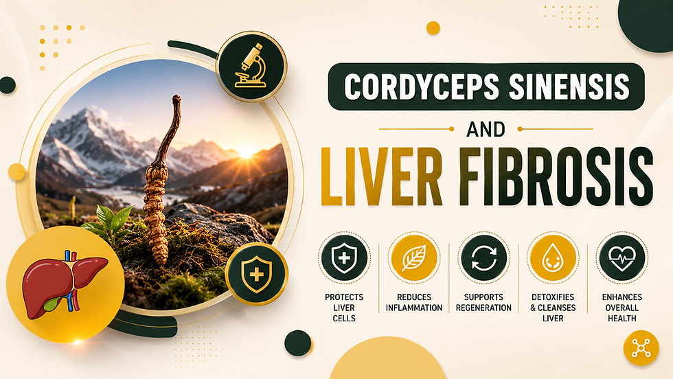 Cordyceps Sinensis and Liver Health: What Modern Research Reveals About Its Anti-Fibrotic Potential