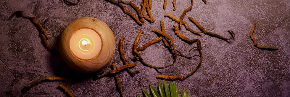 Dried Yarsagumba (Cordyceps) mushrooms beside a lit candle on a gray surface