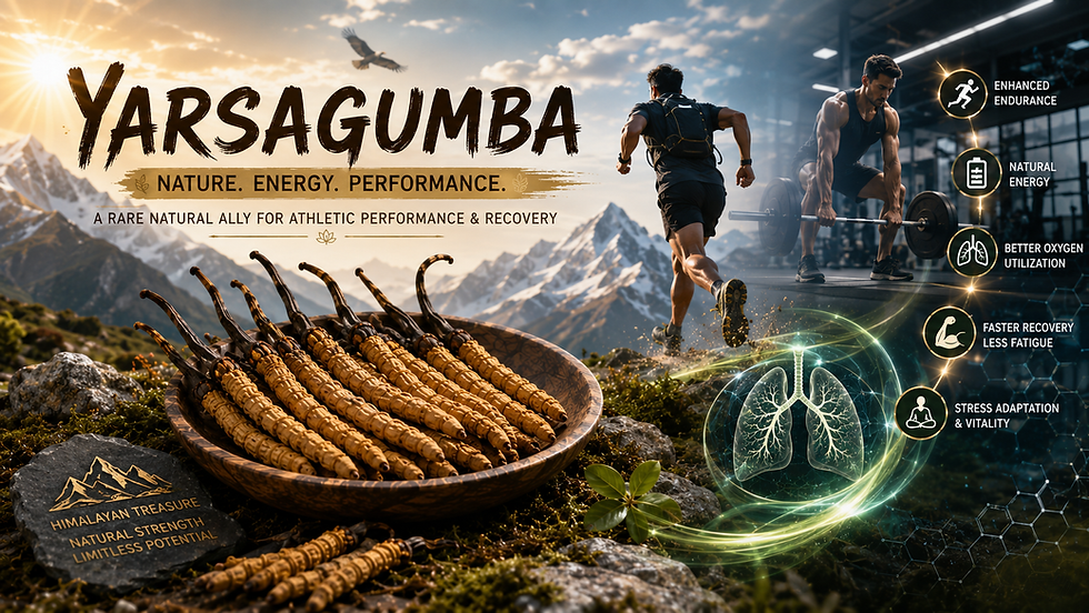 Athlete running in the Himalayas with authentic wild Yarsagumba (Cordyceps sinensis), illustrating natural endurance, energy production, recovery, oxygen utilization, and athletic performance.