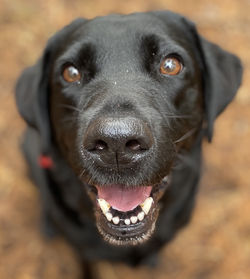 15DB4E97-ABE0-4A84-9C01-0BBA828BE84A_1_201_a_edited