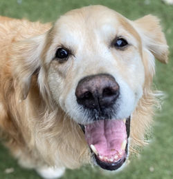 75F0B234-EF00-4F80-A967-02809195CDB8_1_201_a_edited