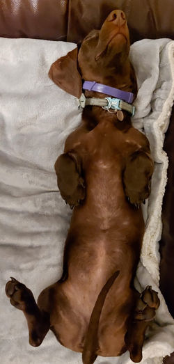 25D30F9A-79B3-49C3-832D-BCC38B82BF67_edited