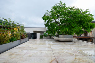 _DSF6741.jpg