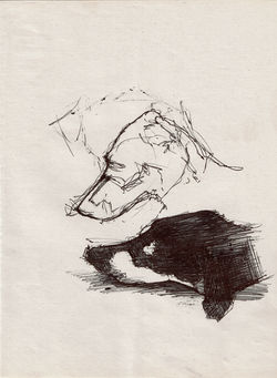 drawing-Luna-1-for-web