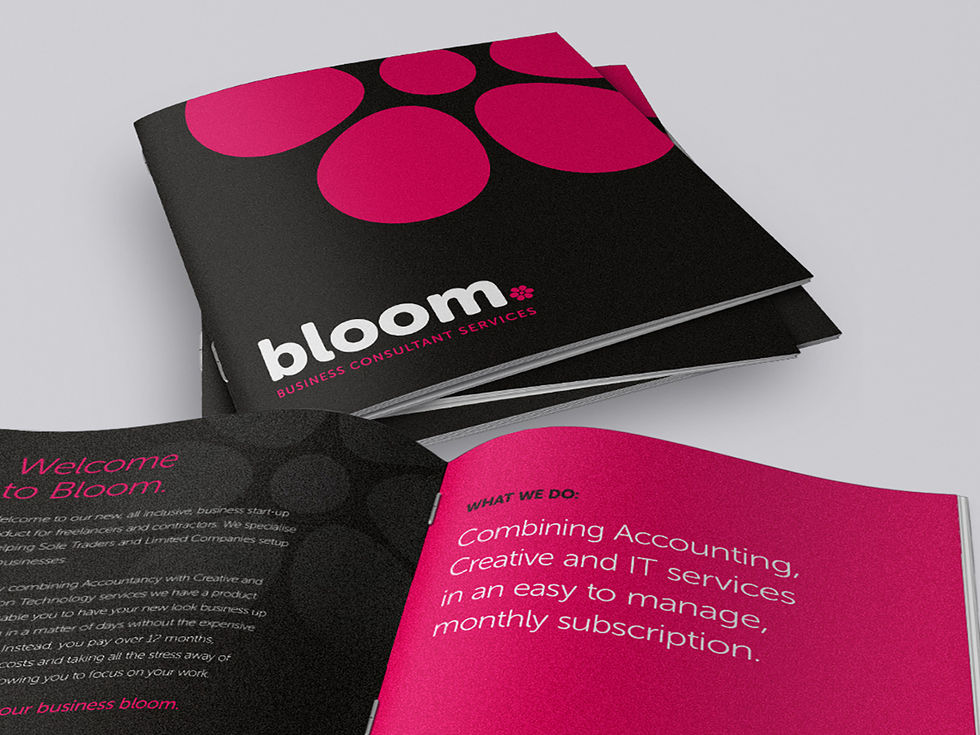 Bloom Consultants - Company Brochure