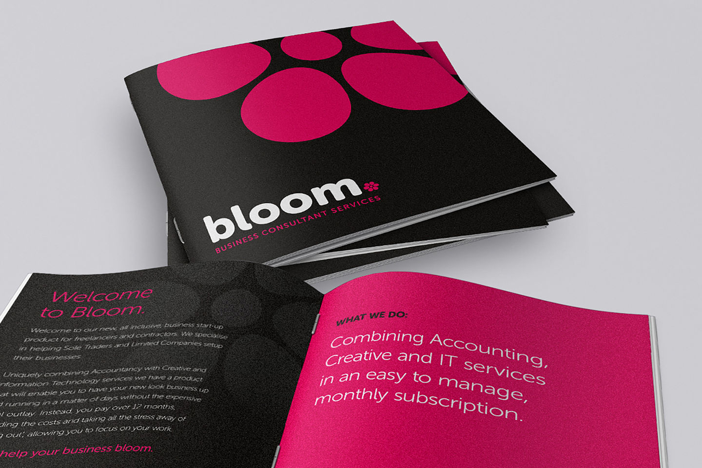 Bloom Consultants - Company Brochure