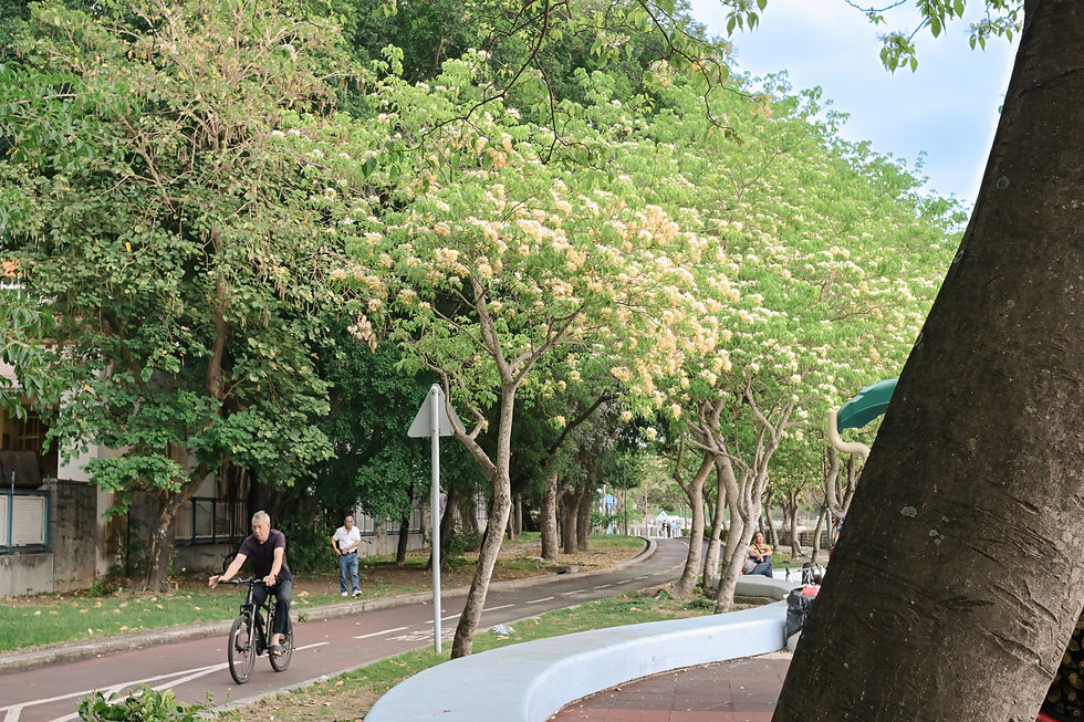 縮圖：Nikkor 28mm 3.5 廣角鏡