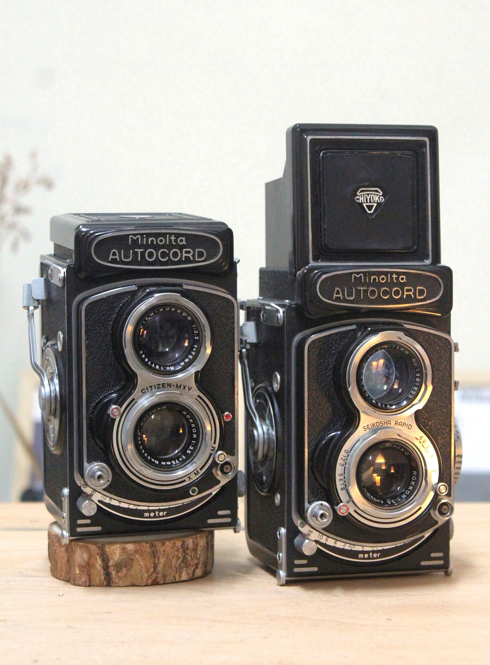 Minolta Autocord 雙鏡相機 (中幅)