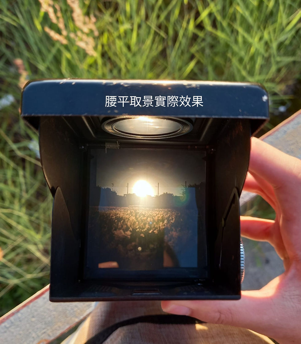 縮圖：Rolleicord 雙鏡相機 （中幅）