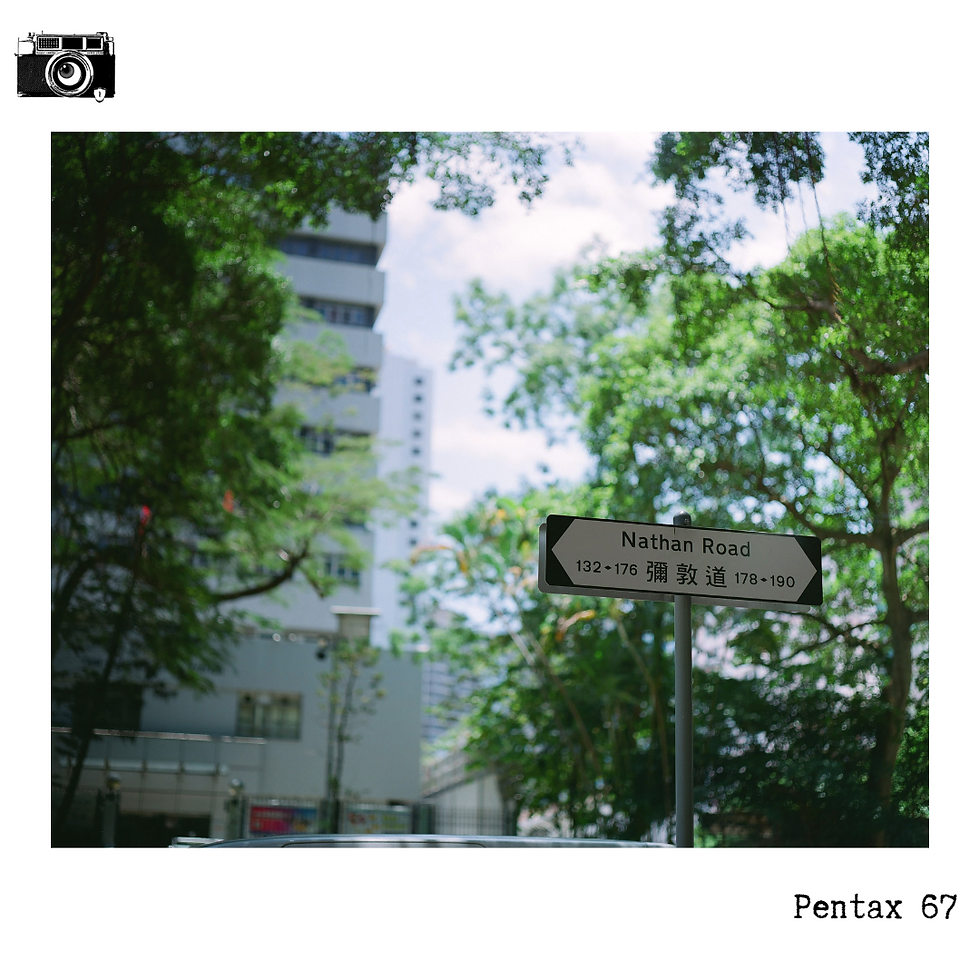 縮圖：進階中幅120菲林攝影工作坊