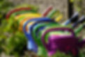 gardening-7146939_1920.jpg