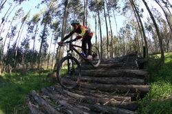 Treino Escolas e Formação (13)