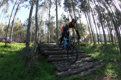 Treino Escolas e Formação (15)