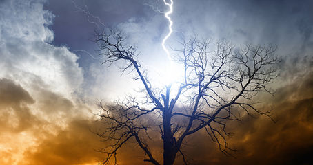 The Privilege of Pain