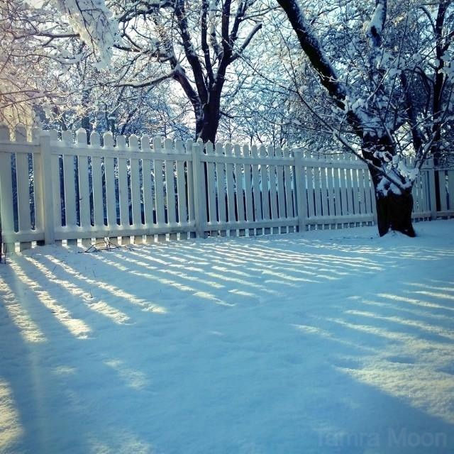 Fresh fallen snow in a backyard with a white picket fence and morning sunlight.