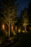 653668f8-49b9-4a3f-bbd0-c1e4b461a3bb.png