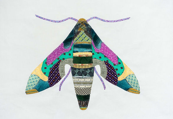 Oleander Hawkhead Moth.jpg