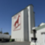 CPR Electrical plant commissioning and HMI handover at Dingo Flour Mill North Fremantle Western Australia
