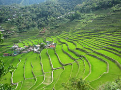 Sagada