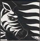 noir-et-blanc-de-zebre