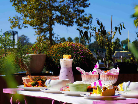 Hidden Gem For Romantic Dates | Jin’s Garden