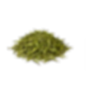Jasmine Green Tea