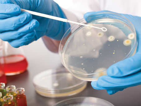 Observe Forensic Science As a Trending Opportunity in 2024