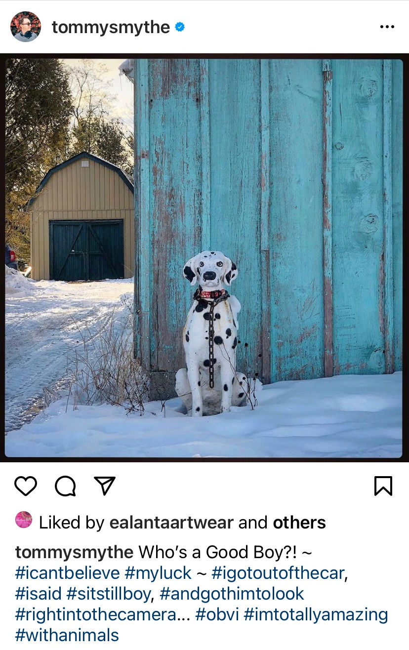 Instagram post by tommy Smythe illustrating how to tell a hashtag story about a dog statue he photographed.