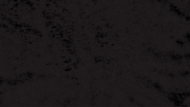 HOLY CAMP 26 BACKGROUND.png