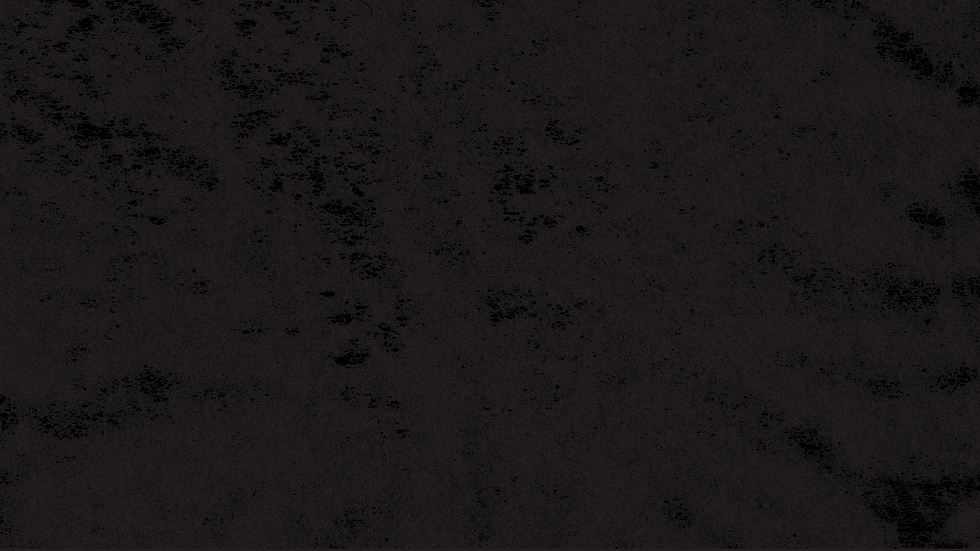 HOLY CAMP 26 BACKGROUND.png
