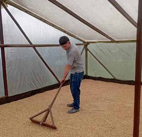 Thumbnail: COLOMBIA LA PIRAGUA - 200g Filtro