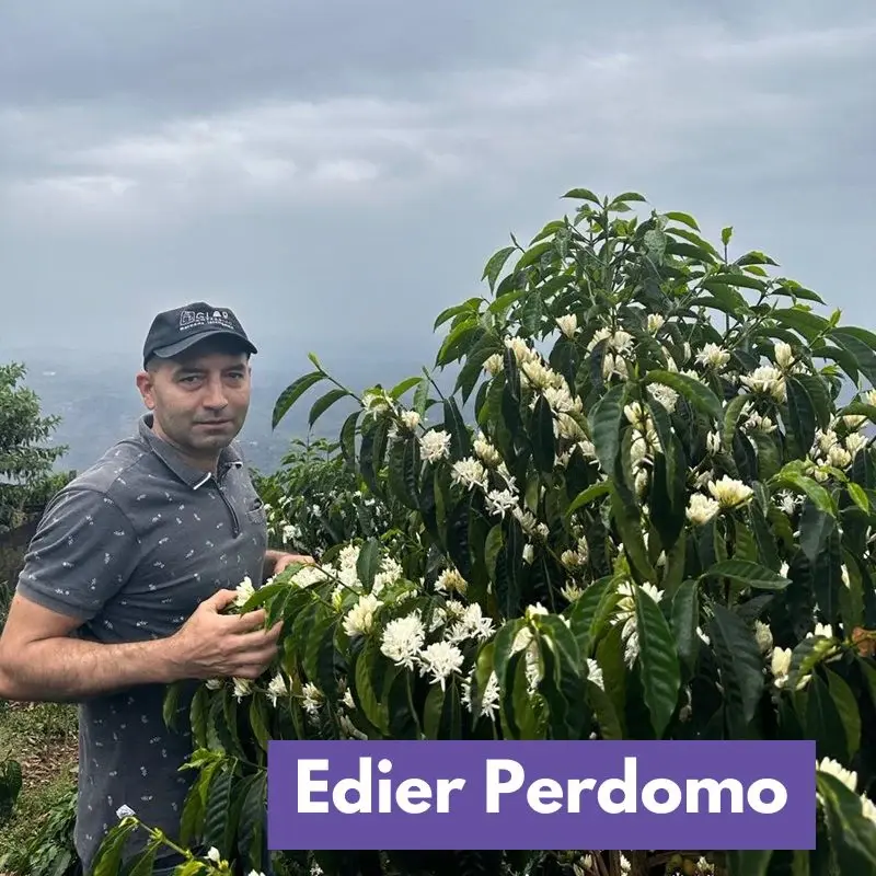 Thumbnail: Colombia Los pinos-  ESPRESSO