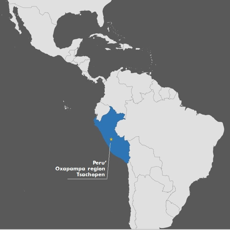 Miniatura: Perù  Kornesha - ESPRESSO/FILTRO - 250 g