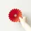 Miniatura: Origami dripper S (1-2Tazze)  Ceramica