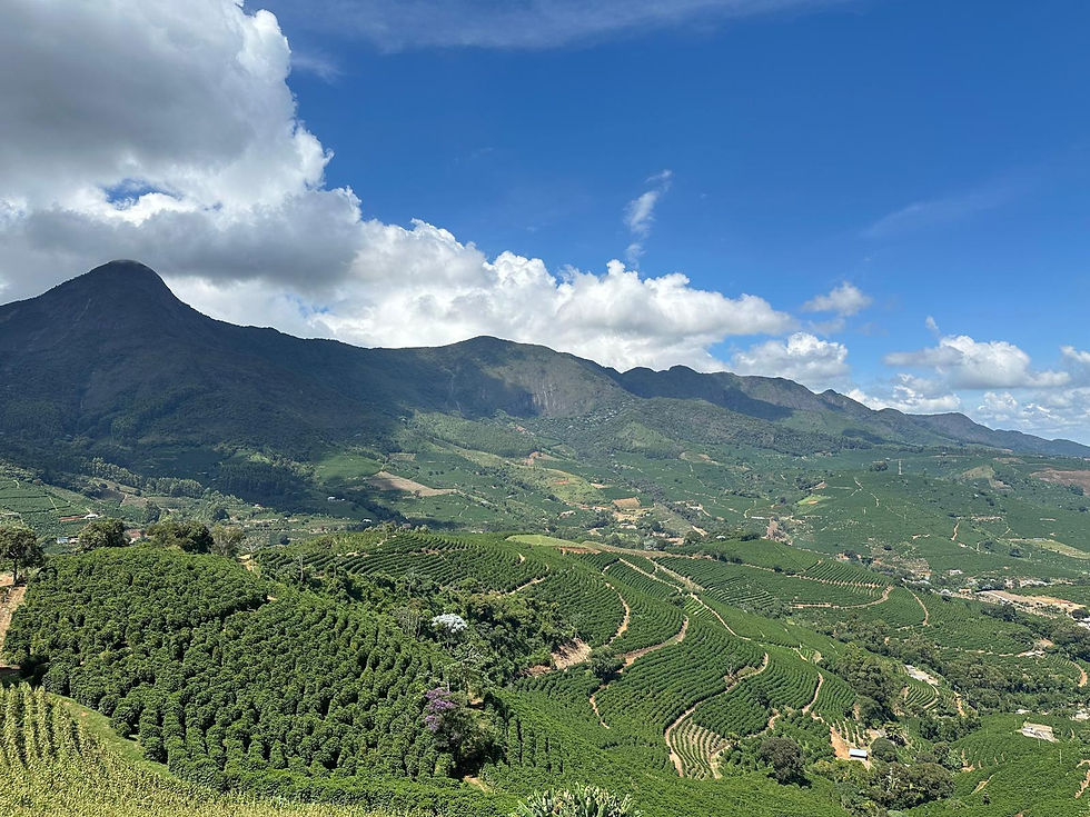 Thumbnail: Brasile  Sitio Santa Rita - ESPRESSO e FILTRO - 250 g