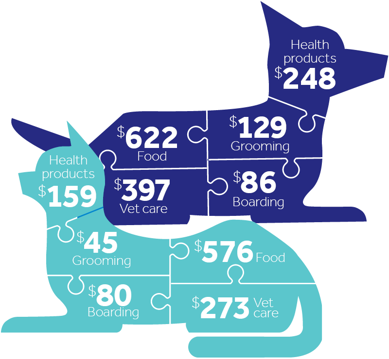 a cat and dog image broken into puzzle pieces with price tags meant to illustrate various costs of medical care. decorative