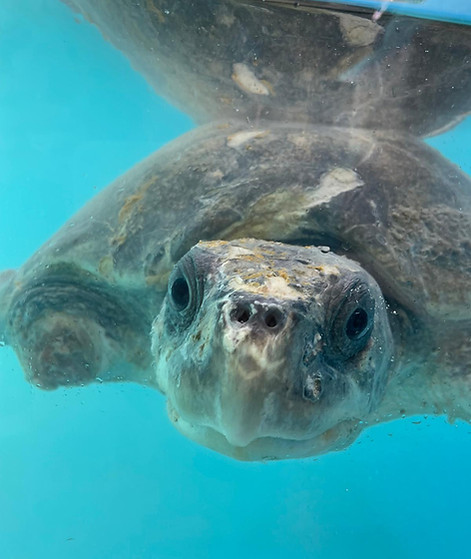 WhatsApp Image 2025-12-28 at 15.10.45.jpeg