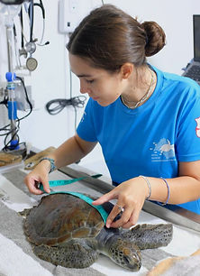 WhatsApp Image 2025-12-22 at 17_edited.j