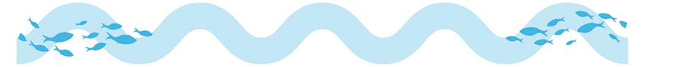 General website heading (2000 x 200 px) (1).png