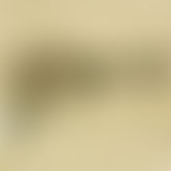 30 anos do debut do Foo Fighters