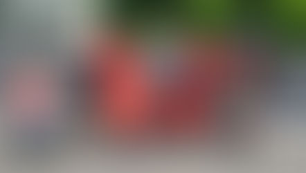 Федерация СМБ России  проводит занятия по активной реабилитации бойцов СВО