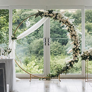 Backdrop hoop for hire