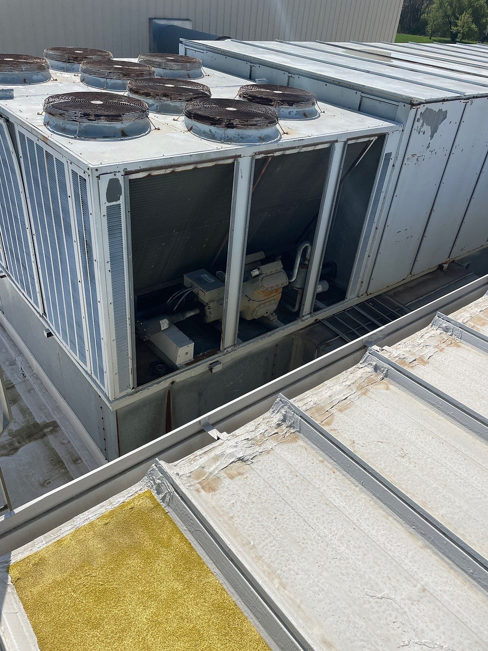 Why Detailed Roof Inspection Reports Make All the Difference for Industrial Facilities